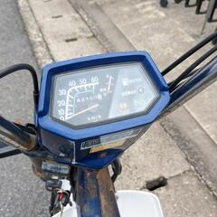 //交渉中//シャリーの画像