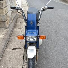 //交渉中//シャリーの画像