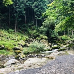 キャンプ仲間募集♪