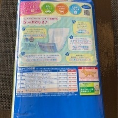 マナーウェア L 中型犬用 40枚入り おむつ オムツの画像