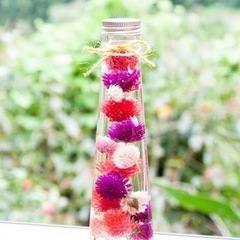 せんにちこう　p@の画像