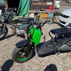 HONDA ズーマー