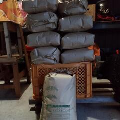 完売。お米　令和3年産10.1kg/袋