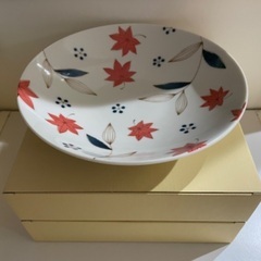 新品　皿セット　①