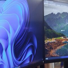 DELL P2418D(WQHD) 24インチ の画像