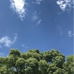 あおぞら体操🎽