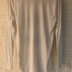 EVOLUTION ロングTシャツ　Lサイズの画像