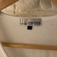 EVOLUTION ロングTシャツ　Lサイズの画像