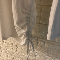 EVOLUTION ロングTシャツ　Lサイズの画像