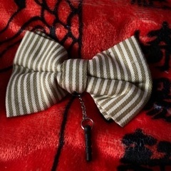 あげます    リボン(携帯用？)