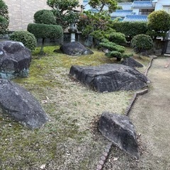庭木　石　灯籠　お譲りします。