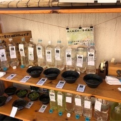 無人販売　メダカ