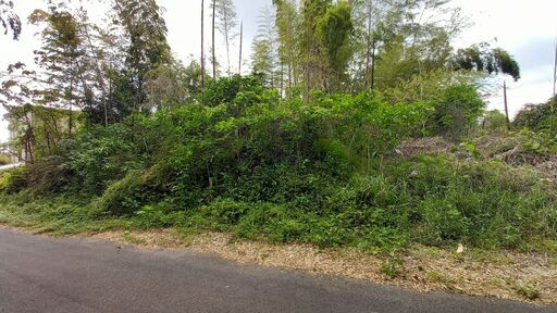 約一反ぐらいの竹の子山の整地をお願いします、報酬１０万円