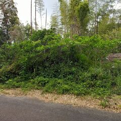 約一反ぐらいの竹の子山の整地をお願いします、報酬１０万円