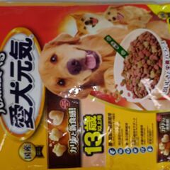 【愛犬元気】13歳以上用ドッグフード　ドライタイプ＆缶詰セット