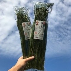【中断中】簡単！牧草の袋詰め作業 空いた時間4〜5時間でOKの画像