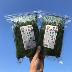 【中断中】簡単！牧草の袋詰め作業 空いた時間4〜5時間でOK