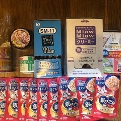 シニア猫　エサの画像