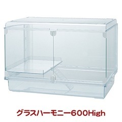 グラスハーモニー、ルーミィを譲ってください。