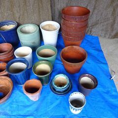 植木鉢　無料で差し上げますの画像