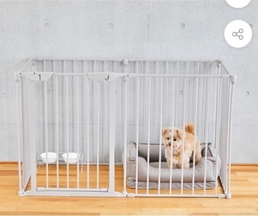 CITYDOG Simple Modern Cage ほぼ新品