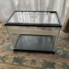 ガラス水槽　ニッソー　カラースリー　Sサイズの画像