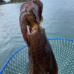2馬力ボート釣り仲間募集！