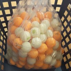 只今商談中：【動作問題？で値下】フルセット3万　折畳式卓球台と自動球出し機（ロボホン1040）有償で譲りますの画像