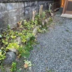 庭石20個程度　貰ってください！
