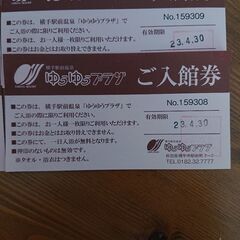 【半額以下】横手駅前温泉ゆうゆうプラザ 入館(入浴)券 8枚 8800円相当の画像