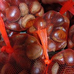 今年最後の栗になります昨日採りたての画像