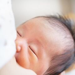 【駒込・高田馬場】0～1歳双子ベビーシッタ募集の画像