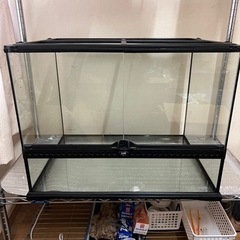爬虫類ケージ60 飼育セット着き