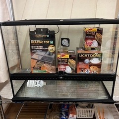 爬虫類ケージ60 飼育セット着きの画像