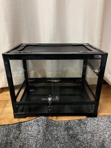 爬虫類ケージ45 飼育セットつき