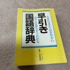 早引き国語辞典 大きくて見やすい MAO