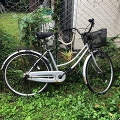 受け渡し者決定　シティサイクル　26インチ　引き取りのみ
