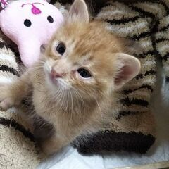 とても素敵なご縁がありました。有難うございました。