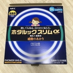 蛍光灯