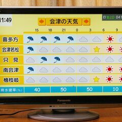 パナソニック　32型液晶テレビ（TH-L32X1-T)