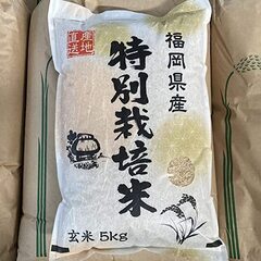 お米と缶詰譲ります。