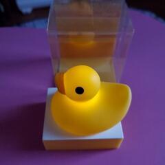 アヒルのおもちゃの画像