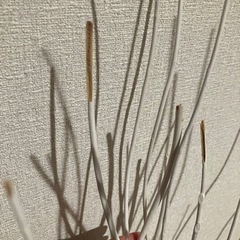 IKEA インテリアガラス花瓶と木の画像