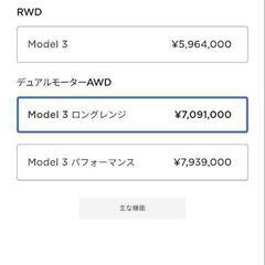 2022年式モデル3 ロングレンジ オートパイロット　ガラスルーフの画像