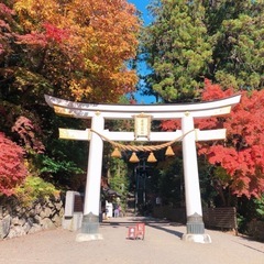 神社仏閣巡りと御朱印集めのお友達募集 - 友達