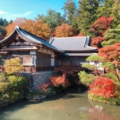 神社仏閣巡りと御朱印集めのお友達募集 - 高崎市