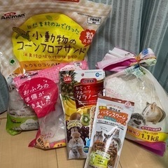ハムスター飼育セット、一式です。の画像