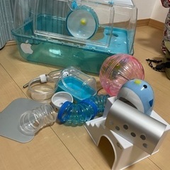 ハムスター飼育セット、一式です。の画像