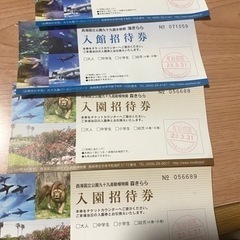  森きらら、海きらら招待券