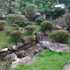 高知県内お庭のお手入れ承ります！植木剪定、草刈り、伐採、お伺い年...